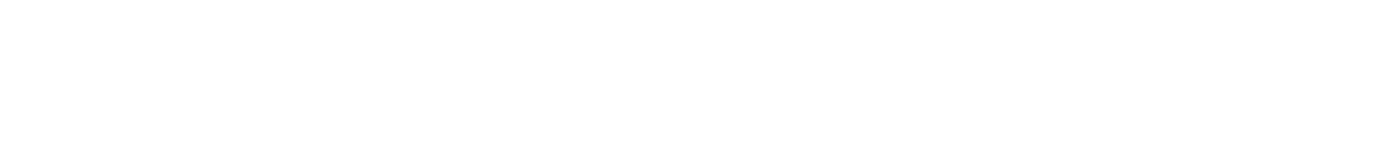 NET SUPPORT